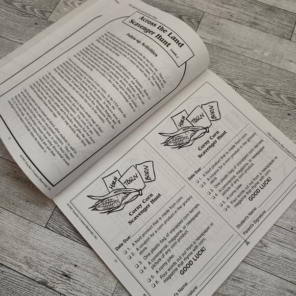 Social Studies In A Bag PRIMARY GRADES 1995 Vtg Teacher Created Materials - Picture 5 of 13